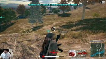 游戏爆料吃鸡视频大全,热门视频大全带你领略刺激战场魅力